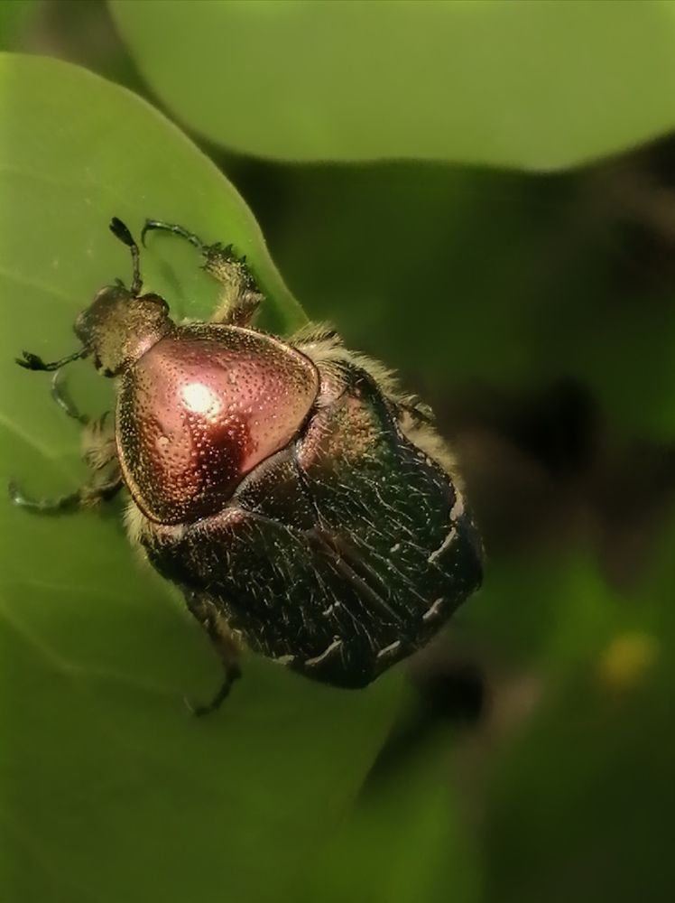 Photograph by Ольга Мокрова