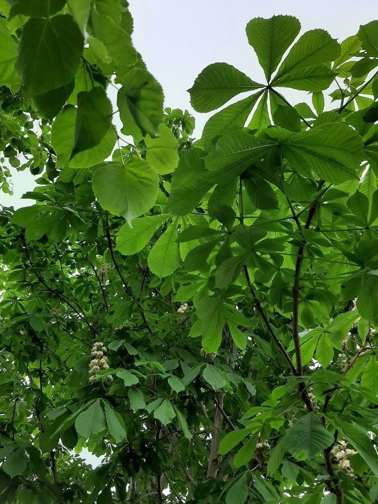 Photograph by Марина Слепова