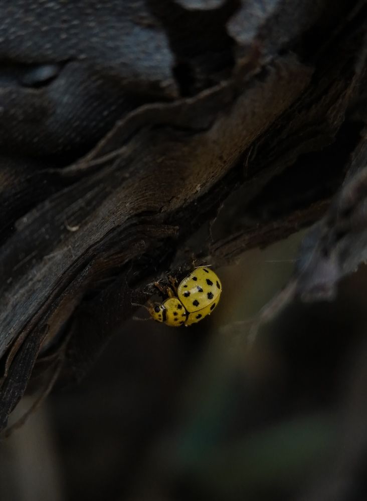 Photograph by Ольга Мокрова