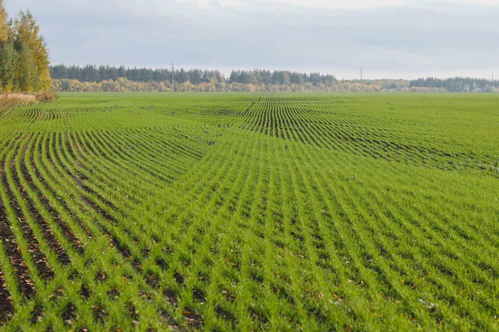 Photograph by Марина Слепова