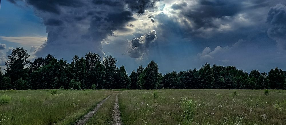 "ПРЕДВЕСТНИКИ ГРОЗЫ-1"