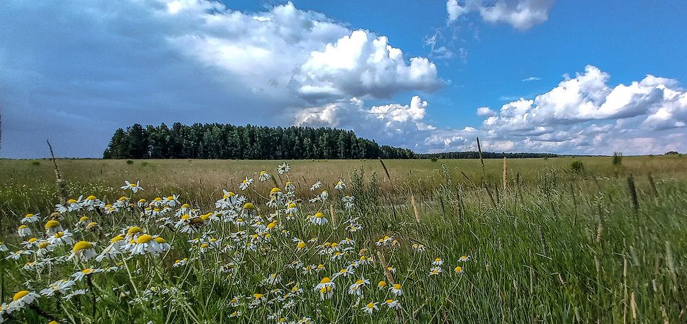 "ПРЕДВЕСТНИКИ ГРОЗЫ-2"