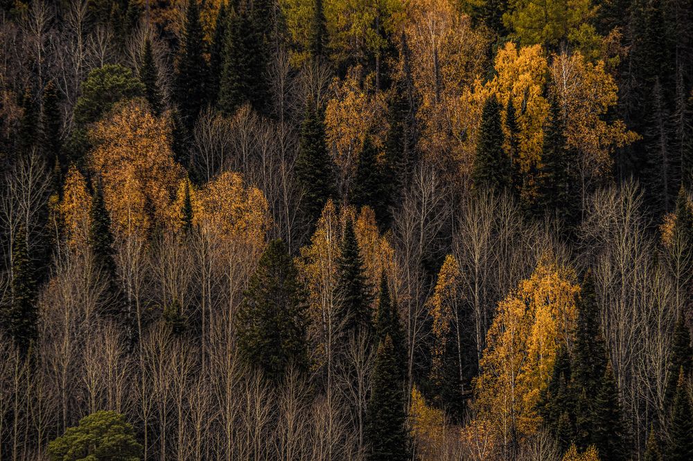 Photograph by Светлана Андреева