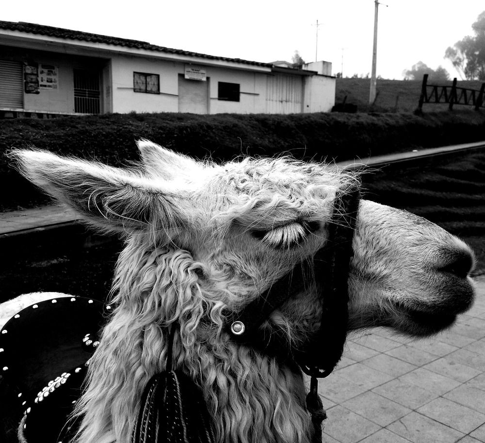 Photograph by Brian C. Guillen