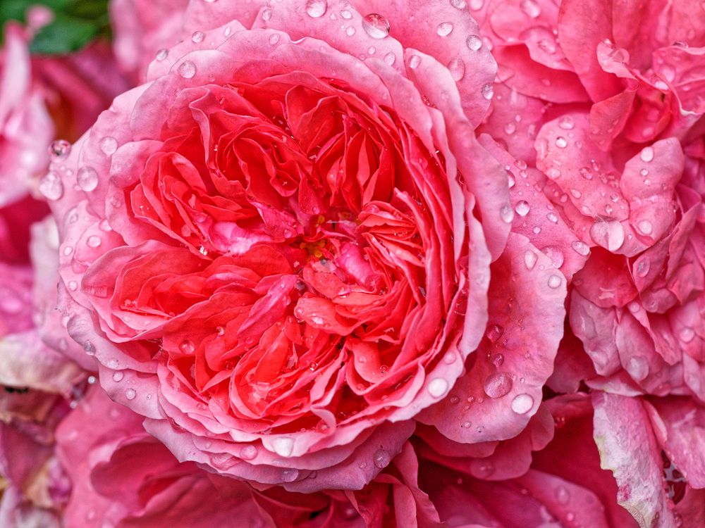 Photograph by Павел Кулинич