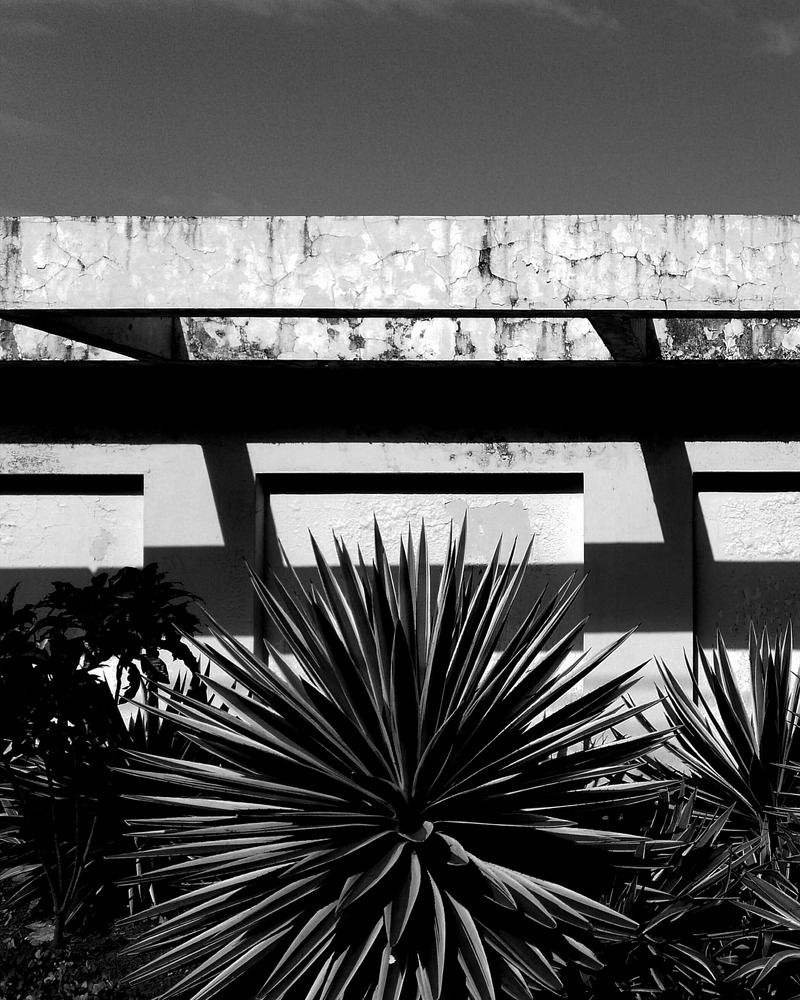 Photograph by Brian C. Guillen