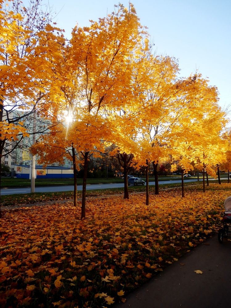 Photograph by Татьяна Красавцева