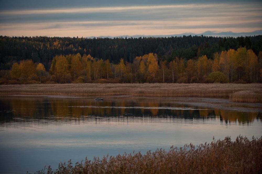 Photograph by Светлана Королева