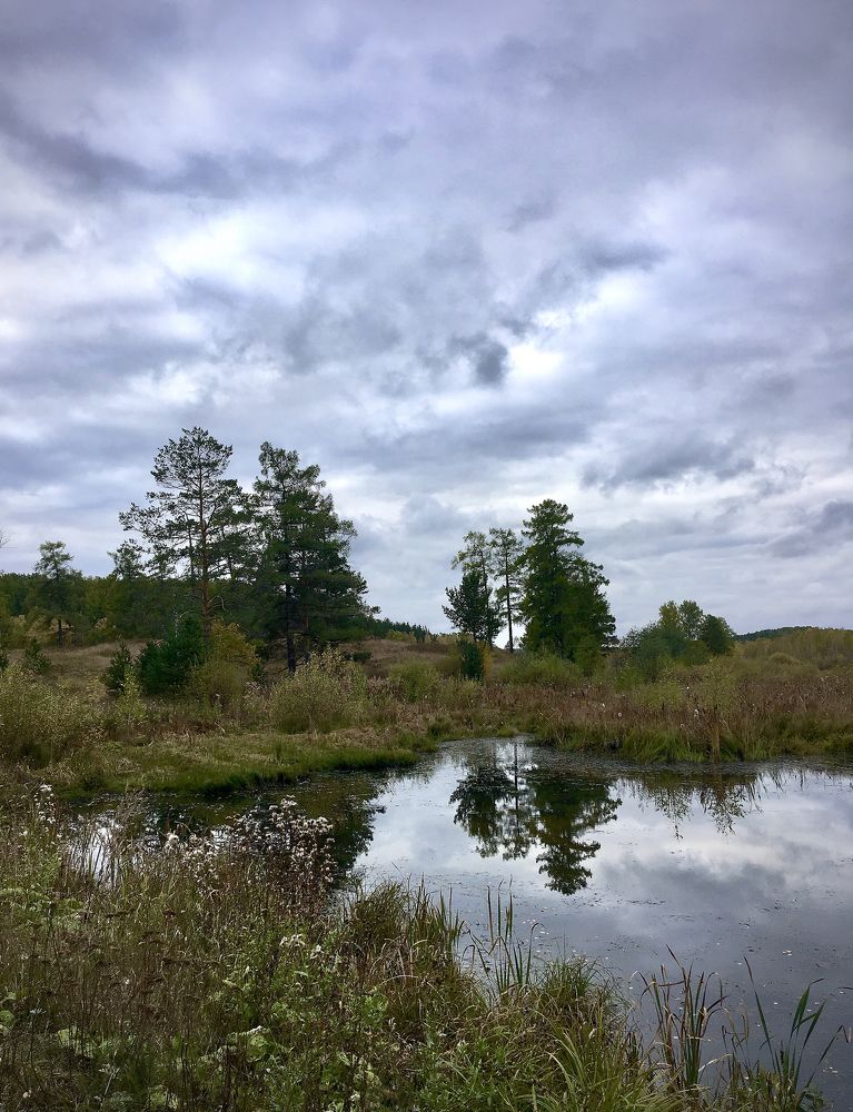 Photograph by Попел Ирина