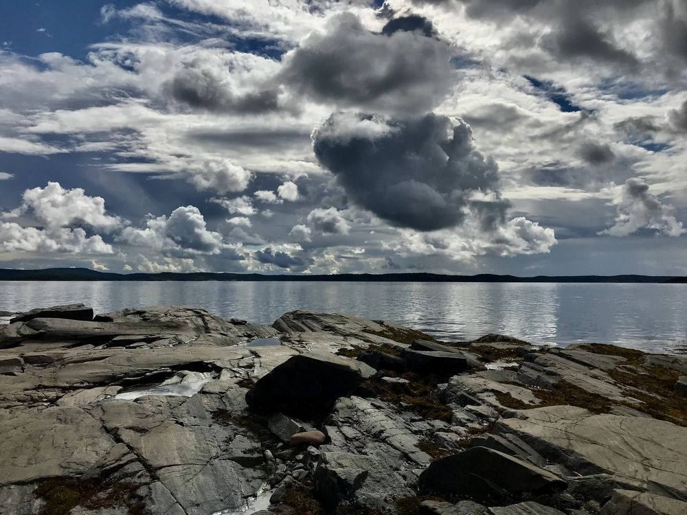 Фотография автора Gulnara