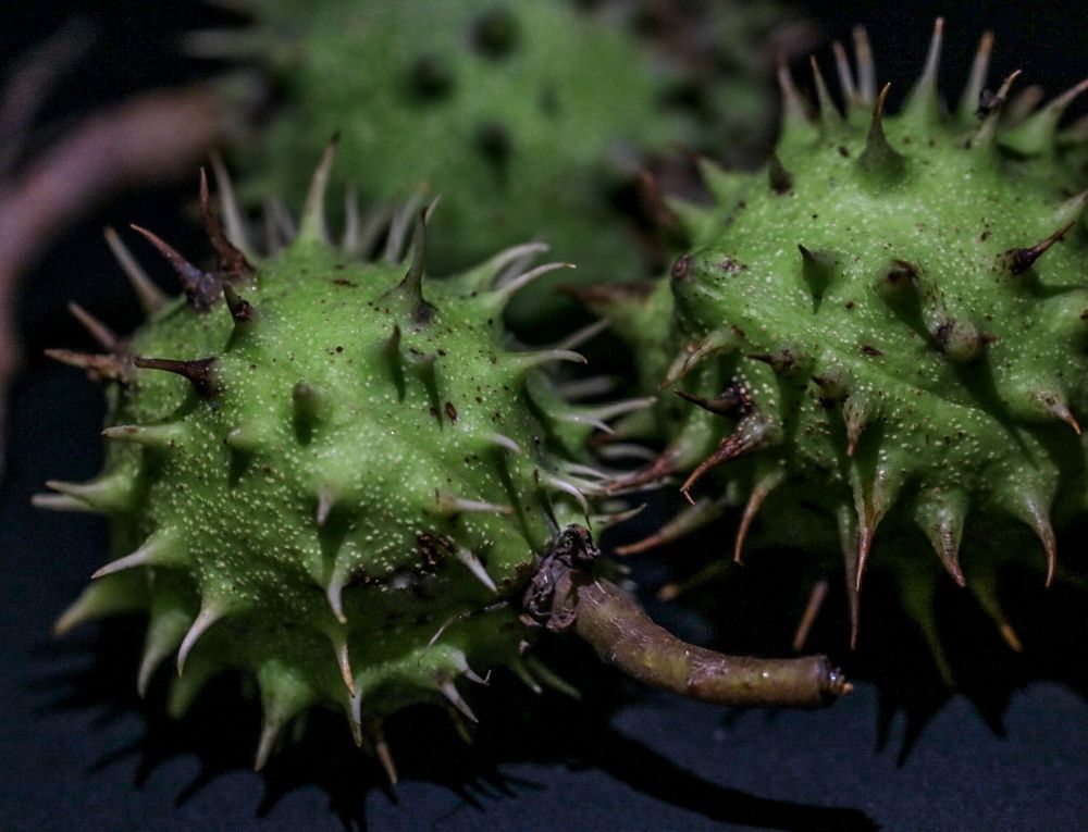 Photograph by Елена Ковалева