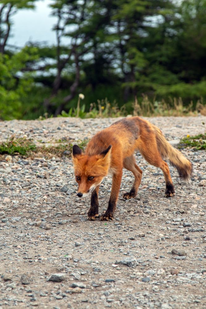 Photograph by Александр Дёмин