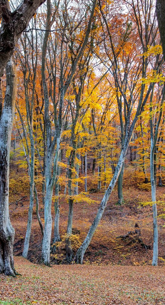 Photograph by Yana Marinova