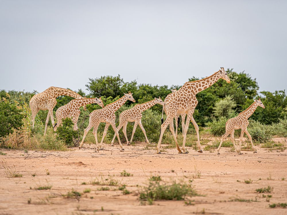 Photograph by Romain MIOT