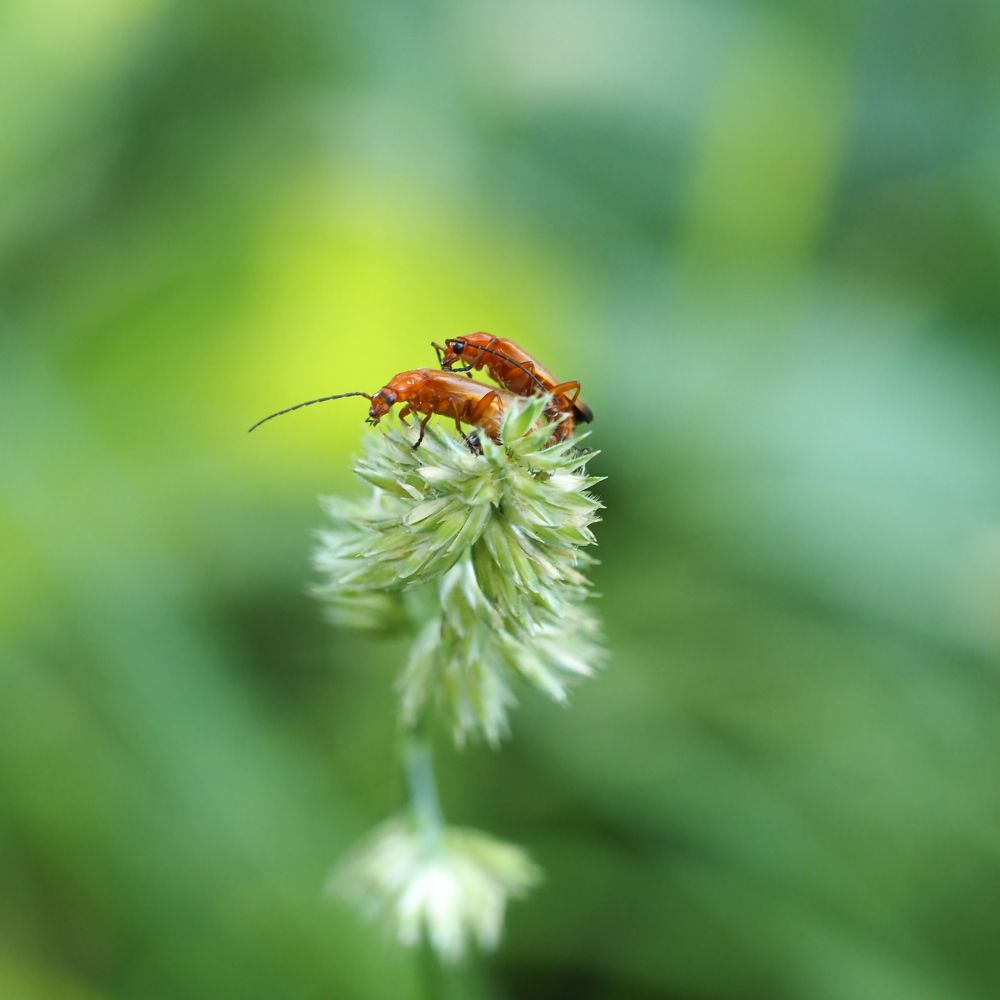 Photograph by Yana Marinova
