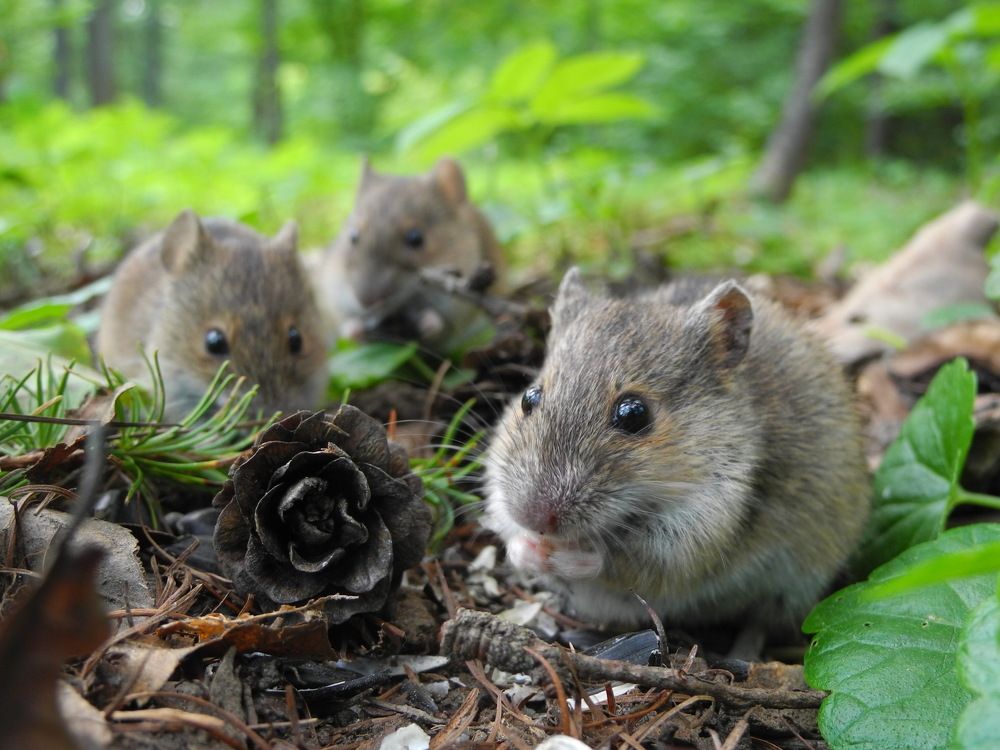 Photograph by Андрей Головин