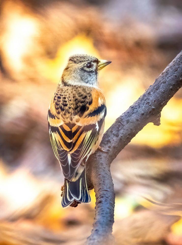 Photograph by Власов Егор