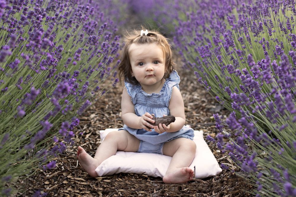 Photograph by Barbara Bacsóné Bandor