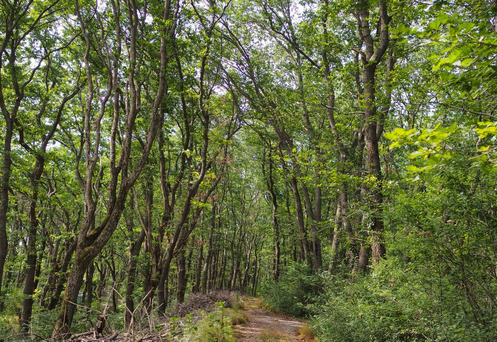 Photograph by Yana Marinova