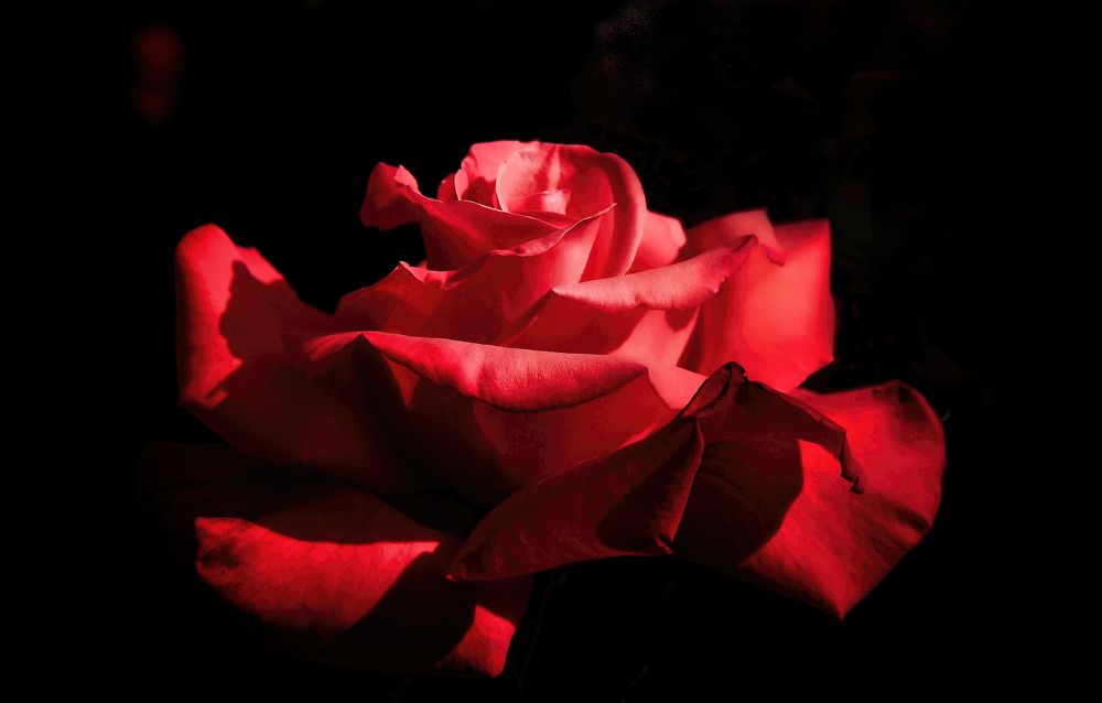 Photograph by Svetlana Rizzo