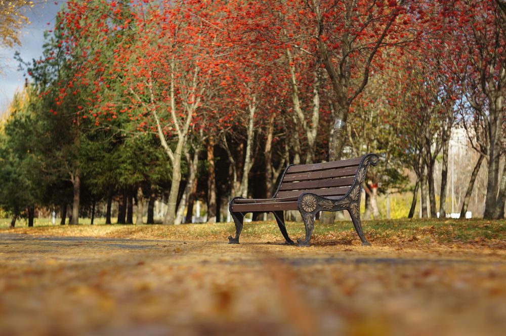 Photograph by Максим Роганов