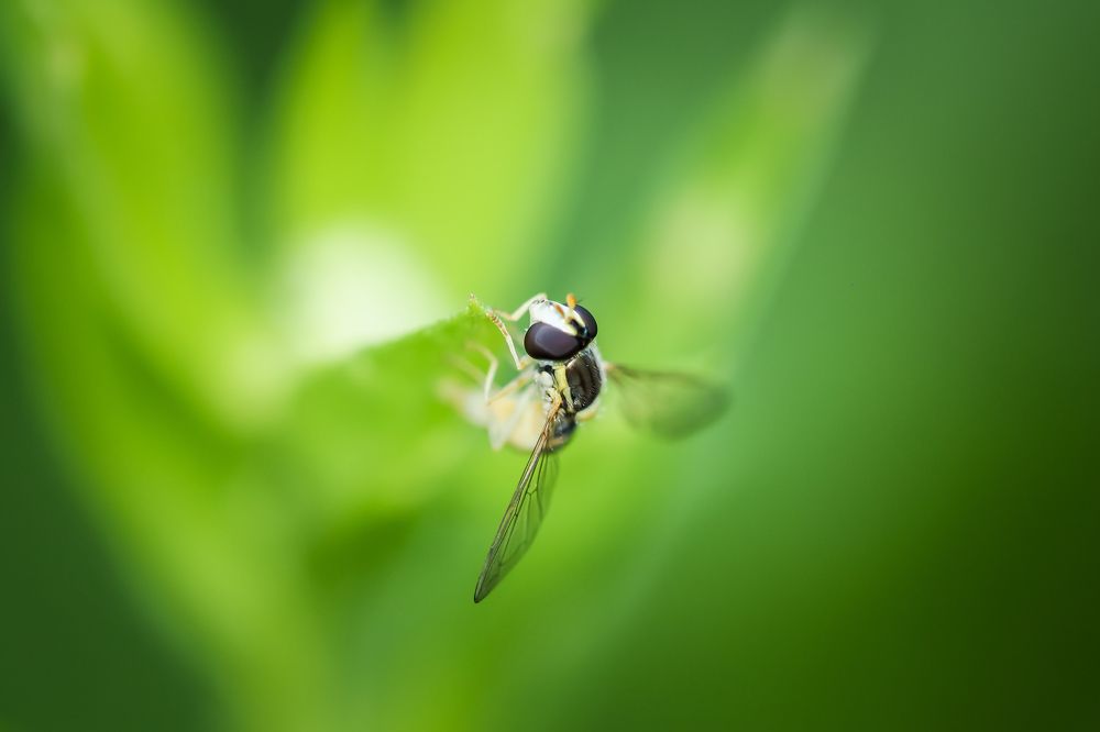 Photograph by Yana Marinova