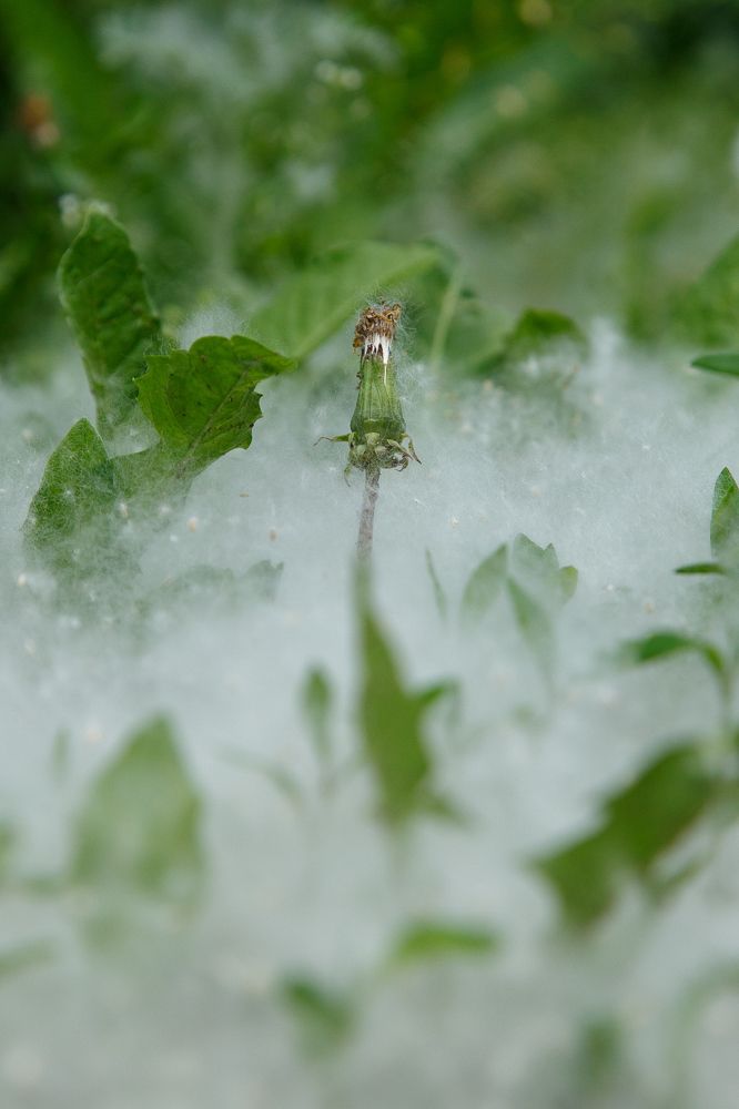 Фотография автора Константин Ракчеев
