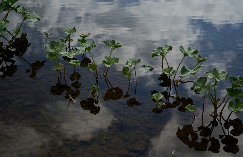 Photograph by Фролкина Рената