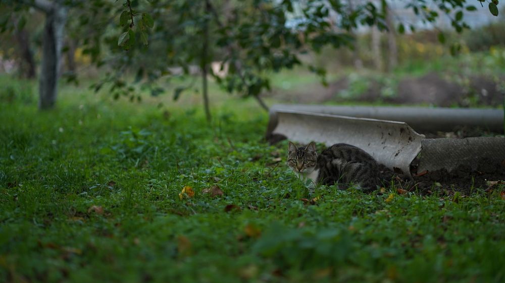 Photograph by Лазурченко Анастасия