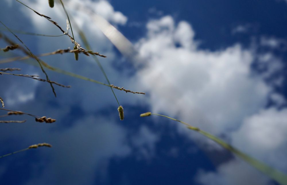 Photograph by Фролкина Рената