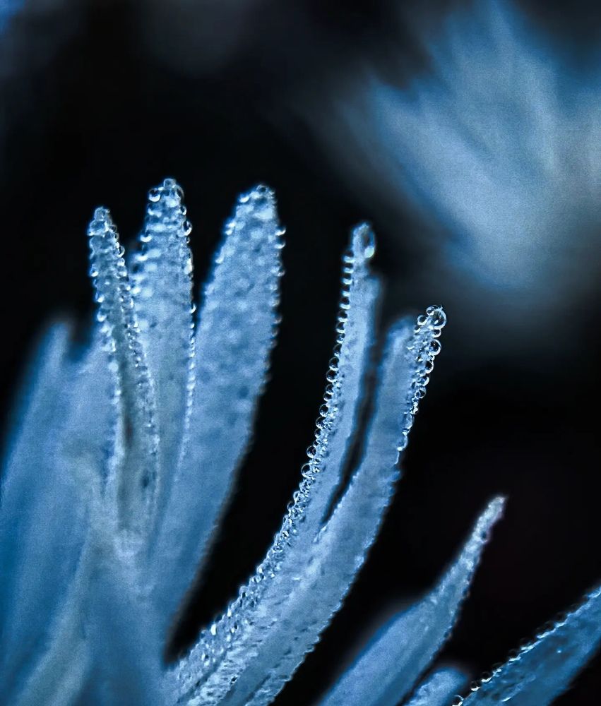 Фотография автора Юра Кладухин