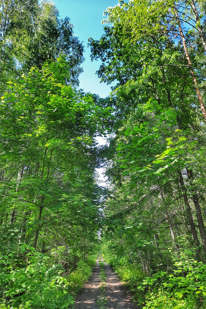 Photograph by Михаил Рассказ