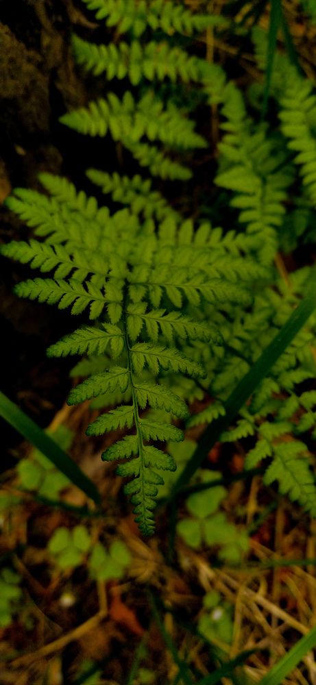 Photograph by Александра Храмцова