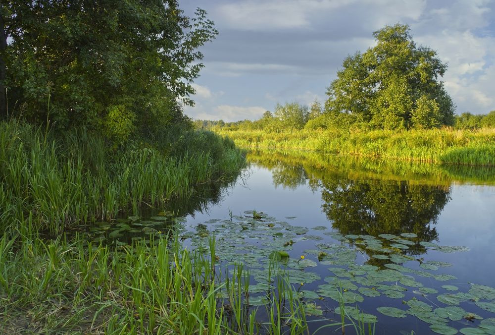 Photograph by Анатолий Максимов