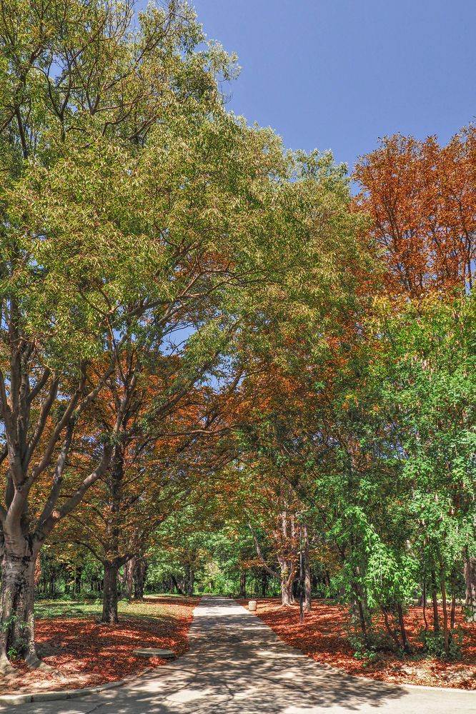 Photograph by Yana Marinova