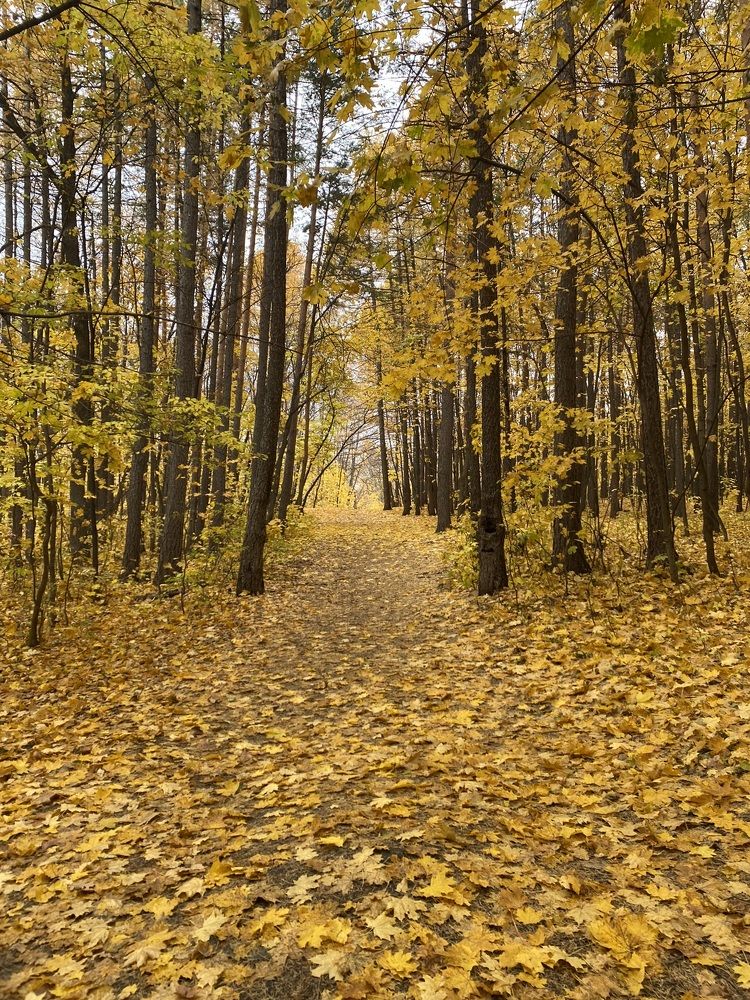 Photograph by Фролкина Рената