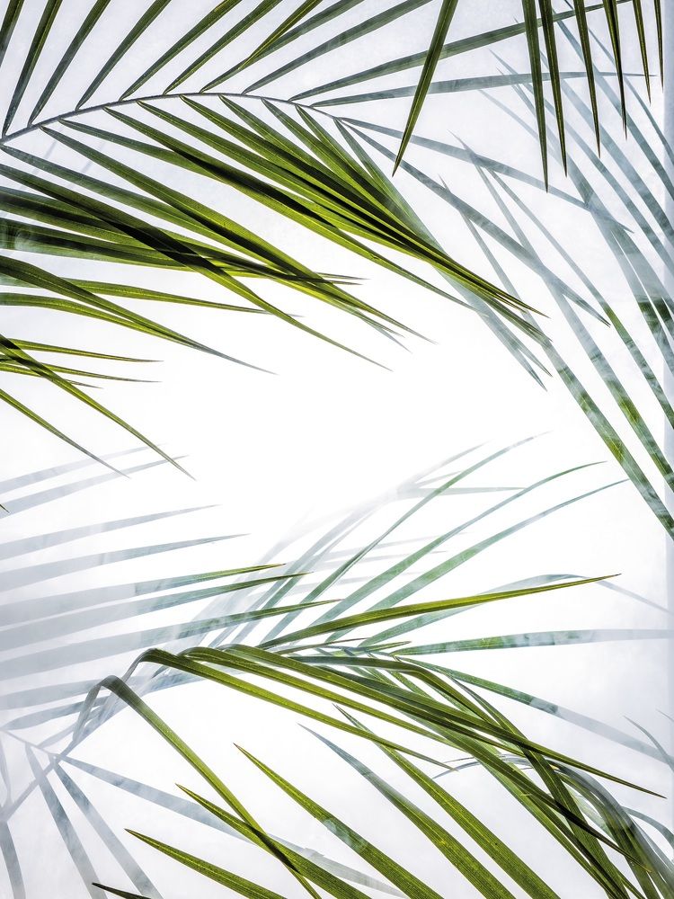 Photograph by Konstantin Morozov