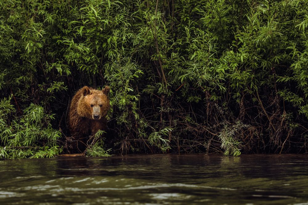 Photograph by Konstantin Morozov