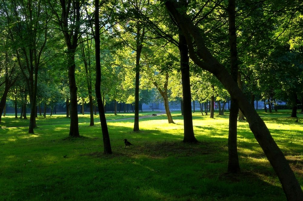 Photograph by Максим Роганов