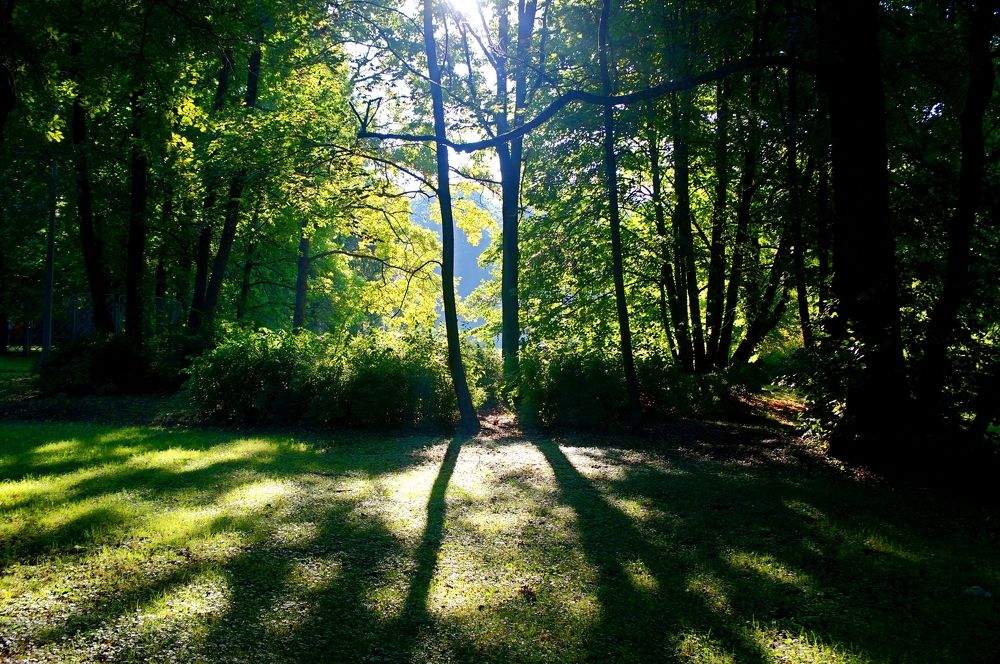 Photograph by Максим Роганов