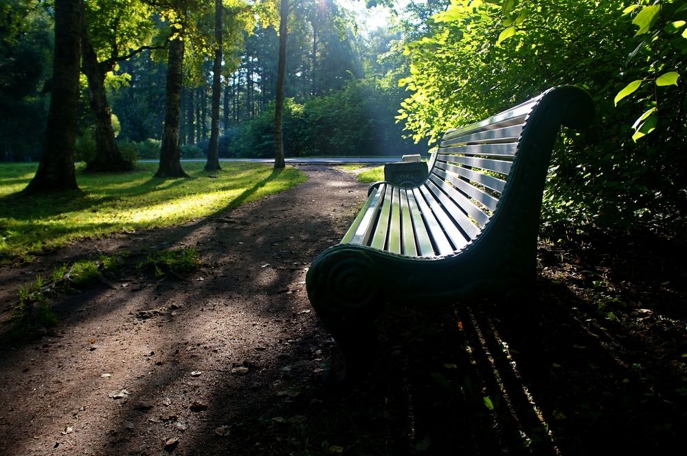 Photograph by Максим Роганов