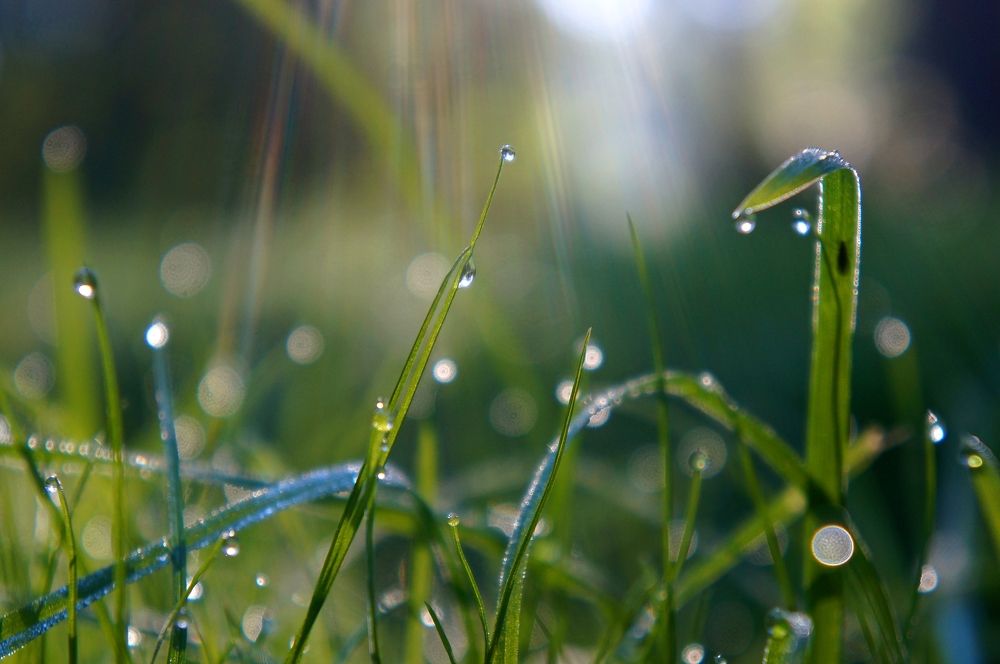 Photograph by Максим Роганов