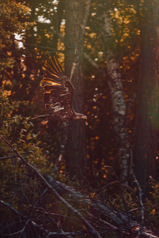 Photograph by Konstantin Morozov