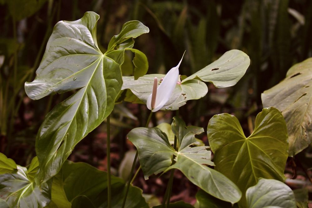 Photograph by Елена Ковалева