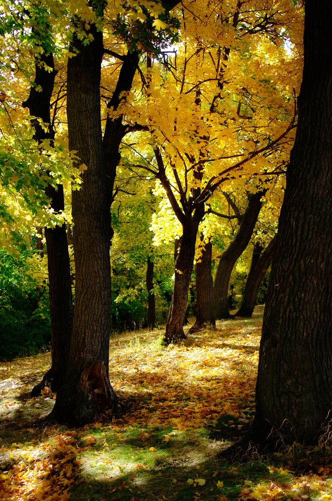 Photograph by Константин Гудков