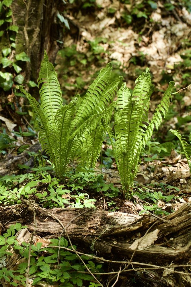 Photograph by Елена Ковалева