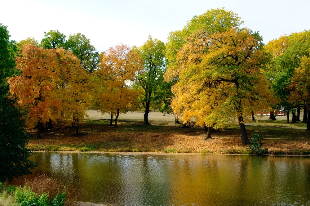 Photograph by Константин Гудков