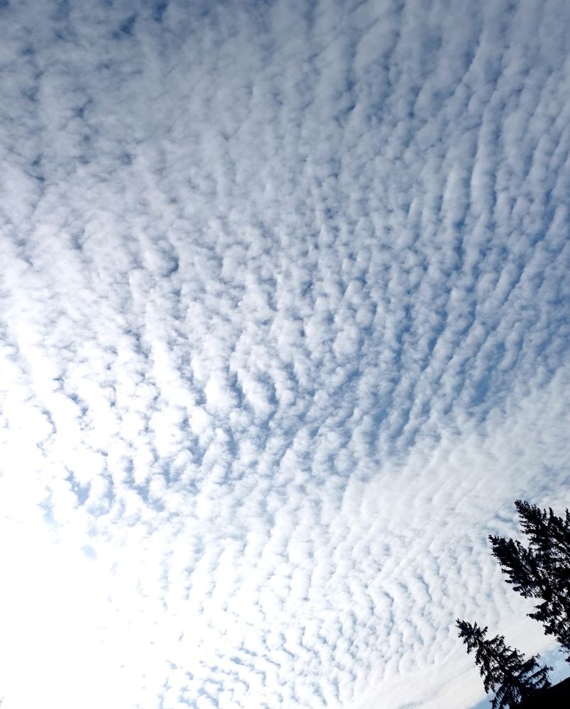 Photograph by Рутковская Жанна