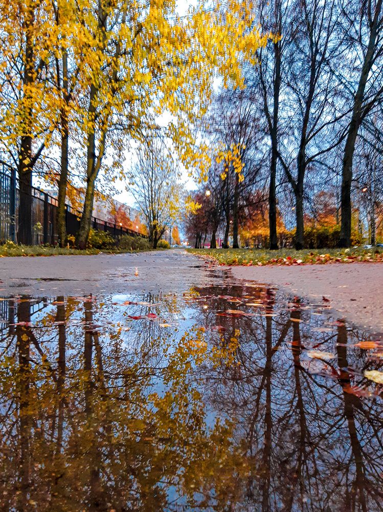 Photograph by Надежда Аксенова