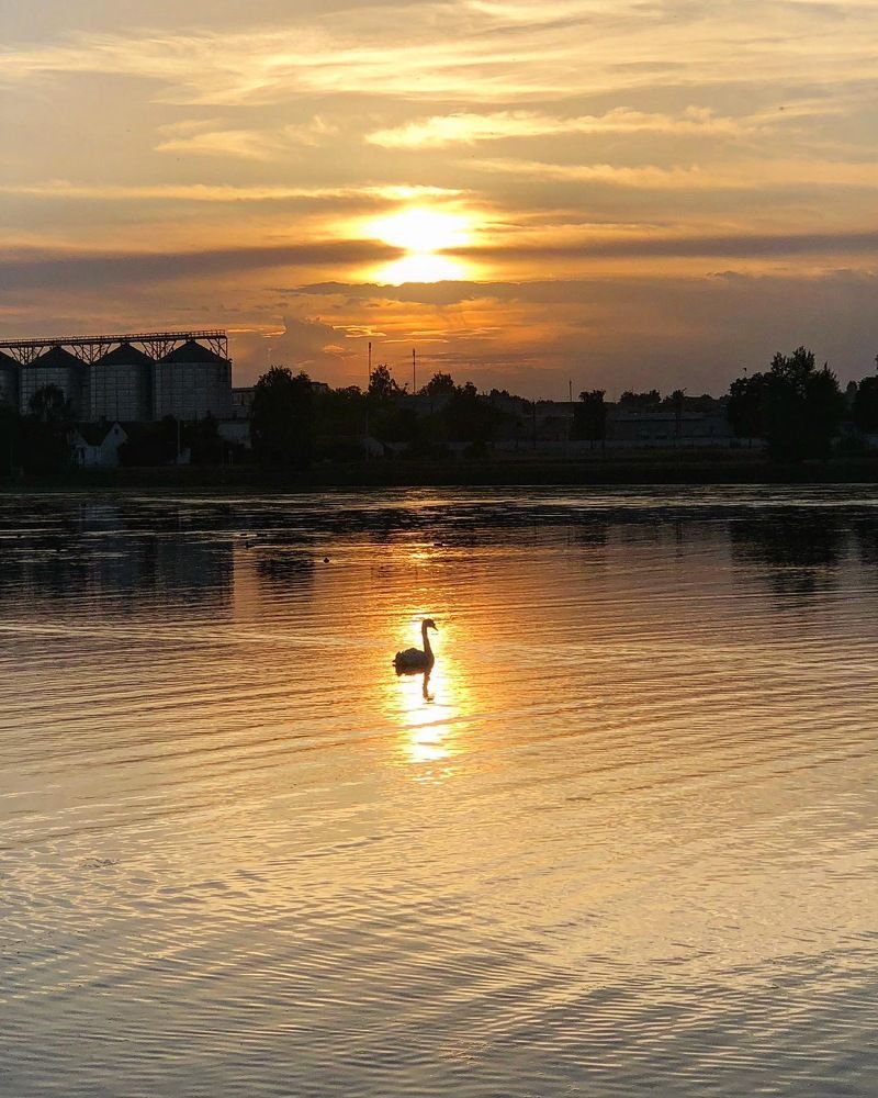 Photograph by Лариса Акинчиц